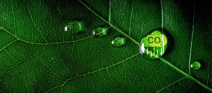 Nahaufnahme eines grünen Blattes mit Wassertröpfchen, von denen eines die Buchstaben "CO2 und Reduzierung" enthält.